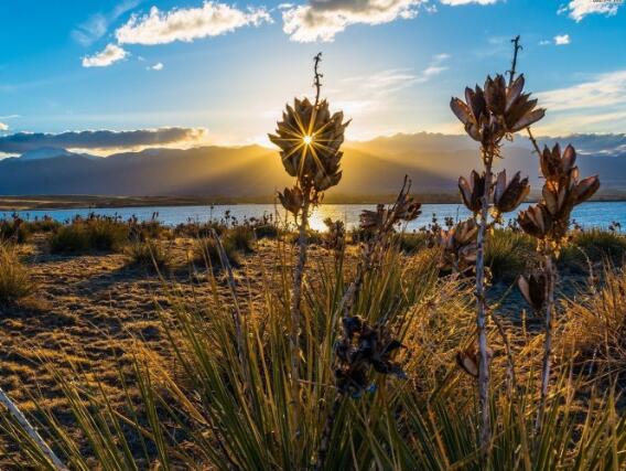 悄悄的离开的心情说说(悄悄的离开你)(图1) 悄悄的离开的心情说说(悄悄的离开你)(图1)