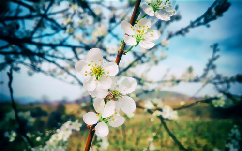 情感心语早安短句(情感早安句子)(图1) 情感心语早安短句(情感早安句子)(图1)