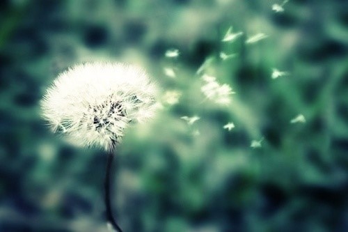 情感文案短句100条(情感文案句子治愈)(图1) 情感文案短句100条(情感文案句子治愈)(图1)