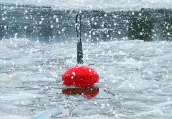 情感鸡汤的经典语录(情感鸡汤文案短句)(图1) 情感鸡汤的经典语录(情感鸡汤文案短句)(图1)