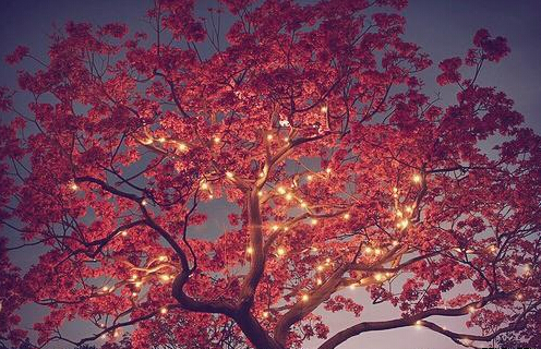 情绪低落短句霸气(情绪比较低落的句子)(图1) 情绪低落短句霸气(情绪比较低落的句子)(图1)