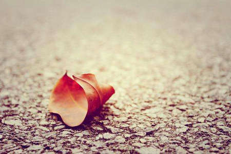 情感生活文案短句（情感生活文案短句子）(图1)