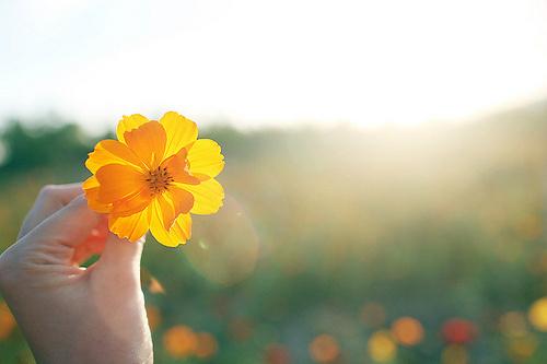 想抱抱你的经典语录(想抱抱你的经典语录英文)(图1) 想抱抱你的经典语录(想抱抱你的经典语录英文)(图1)