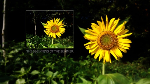 感情路上的浪漫说说(感情路坎坷的说说)(图1) 感情路上的浪漫说说(感情路坎坷的说说)(图1)