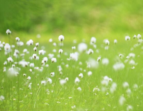 感慨妹妹长大唯美短句(感慨妹妹长大唯美短句文案)(图1) 感慨妹妹长大唯美短句(感慨妹妹长大唯美短句文案)(图1)