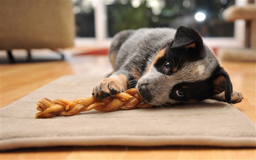 感谢抖音正能量励志语录（感谢抖音句子）(图1)