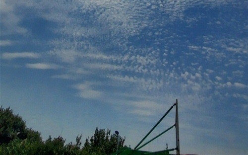 感谢母亲的话语录（感谢母亲的佳句）(图1)