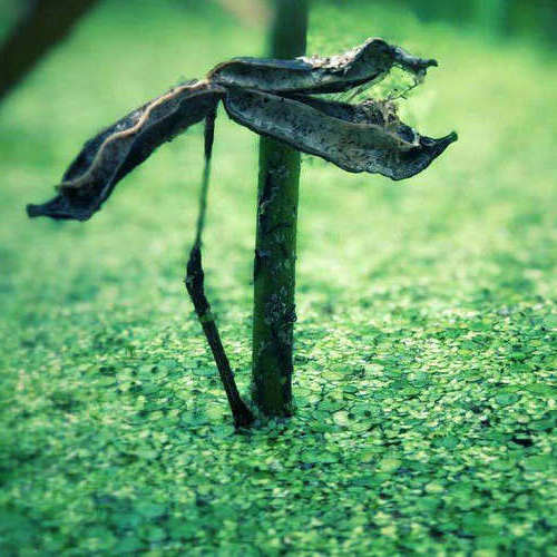 愿你心宽如海的说说(愿你心宽似海,容得下过去,装得进将来)(图1) 愿你心宽如海的说说(愿你心宽似海,容得下过去,装得进将来)(图1)