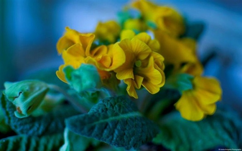 愿景一句话经典语录(2021年愿景一句话大全简短)(图1) 愿景一句话经典语录(2021年愿景一句话大全简短)(图1)