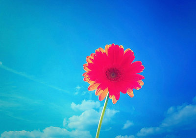 愿笑口常开的唯美句子(愿笑口常开的唯美句子图片)(图1) 愿笑口常开的唯美句子(愿笑口常开的唯美句子图片)(图1)