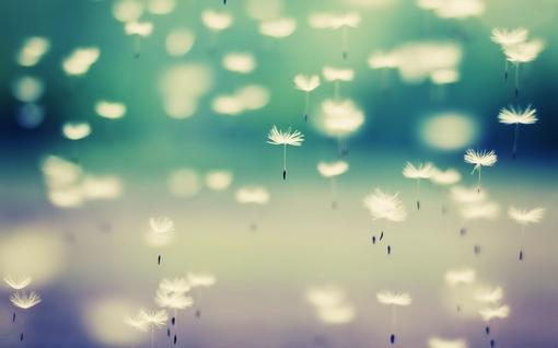 成人笑话大全爆笑短句（成人笑话大全50条）(图1)