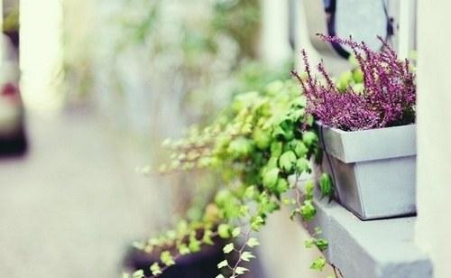 慢慢的我懂了优美句子(慢慢的我懂了说说短句)(图1) 慢慢的我懂了优美句子(慢慢的我懂了说说短句)(图1)