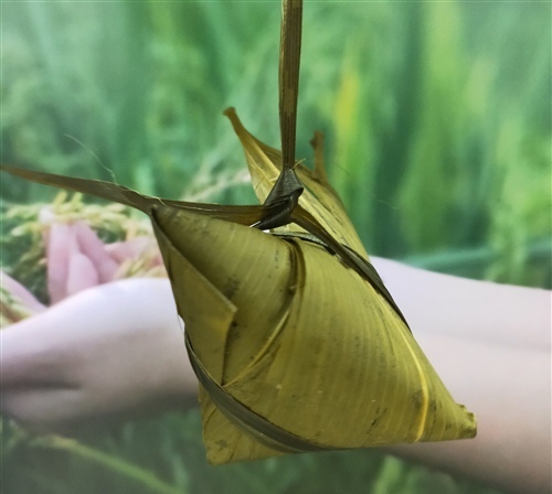 成才成长的格言警句（形容成长成才的成语）(图1)