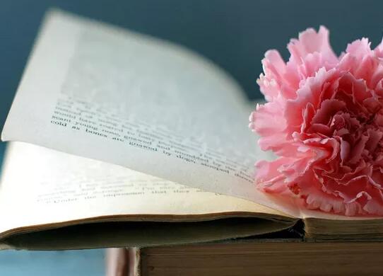 成熟句子唯美简短(成熟句子短句霸气十足)(图1) 成熟句子唯美简短(成熟句子短句霸气十足)(图1)