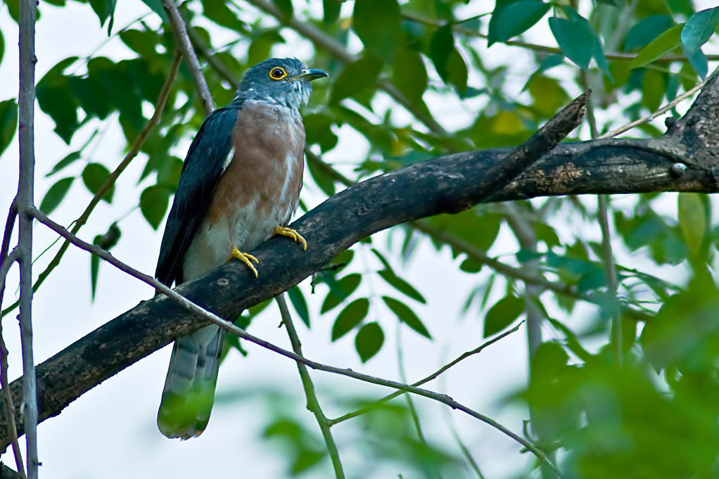 我的行程说说心情（我的行程怎么写）(图1)