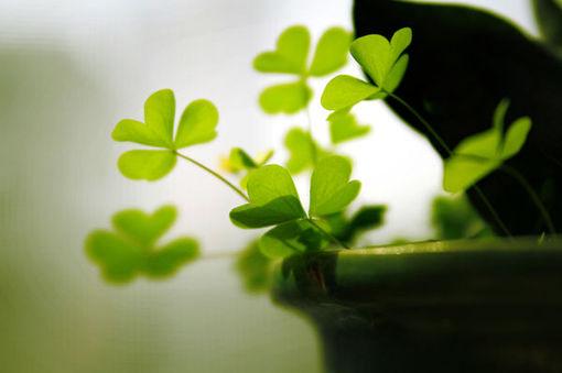 我在这等着你语录(我在这等着你回来是什么歌曲)(图1) 我在这等着你语录(我在这等着你回来是什么歌曲)(图1)