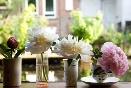 我姓陈的专属句子励志(我姓陈的专属句子励志短句)(图1) 我姓陈的专属句子励志(我姓陈的专属句子励志短句)(图1)