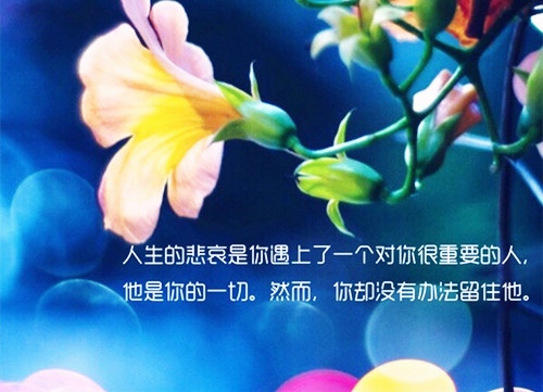 抖音精彩评论语录（抖音精彩评论语录大全简短）(图1)