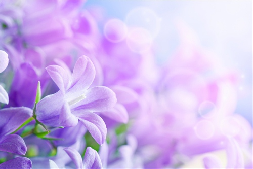 打乒乓球励志的句子(打乒乓球励志的句子短句)(图1) 打乒乓球励志的句子(打乒乓球励志的句子短句)(图1)