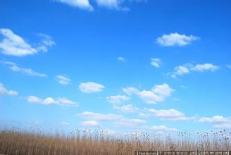 抽烟喝酒的文案短句（关于吸烟喝酒的说说）(图1)