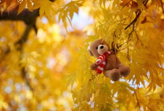 拔河比赛口号励志句子(拔河比赛的口号大全)(图1) 拔河比赛口号励志句子(拔河比赛的口号大全)(图1)