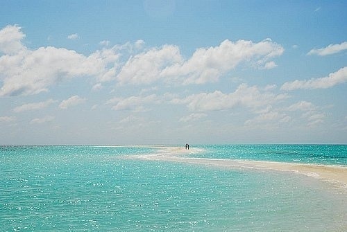 拟人句的短句子10句(三年级拟人句100句)(图1) 拟人句的短句子10句(三年级拟人句100句)(图1)