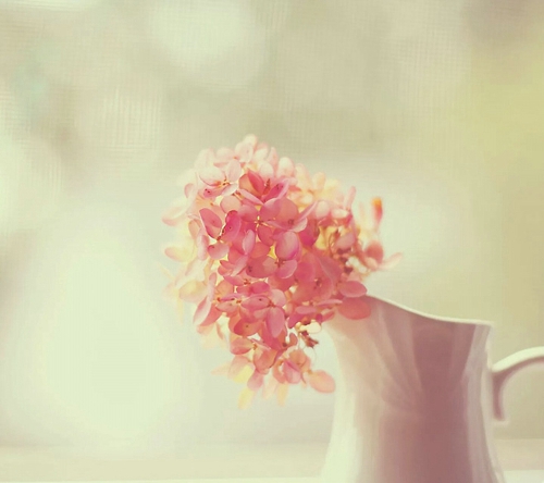 抖音最火潮图短句(抖音上很火的潮图壁纸)(图1) 抖音最火潮图短句(抖音上很火的潮图壁纸)(图1)