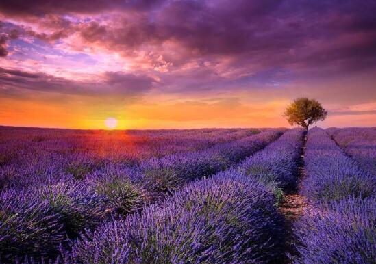 报答歌词短句摘抄(报答歌词短句摘抄下载百度云)(图1) 报答歌词短句摘抄(报答歌词短句摘抄下载百度云)(图1)