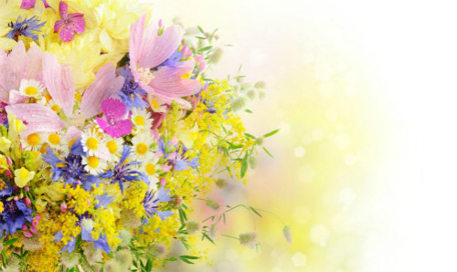 抽烟搞笑说说短语(关于抽烟的搞笑说说短语)(图1) 抽烟搞笑说说短语(关于抽烟的搞笑说说短语)(图1)