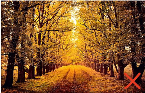 拥有归零心态的名言(归零心态的诗句)(图1) 拥有归零心态的名言(归零心态的诗句)(图1)