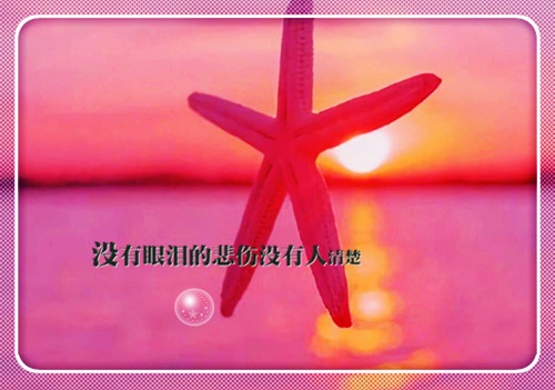 描写小野花的短句(写小野花的优美短句)(图1) 描写小野花的短句(写小野花的优美短句)(图1)