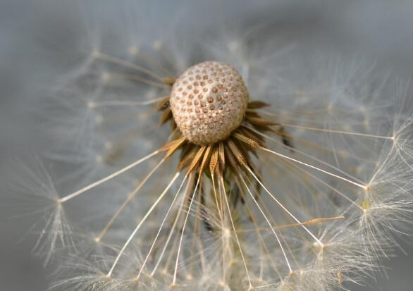 挪威森林绿子的名言(挪威的森林对绿子说的话)(图1) 挪威森林绿子的名言(挪威的森林对绿子说的话)(图1)