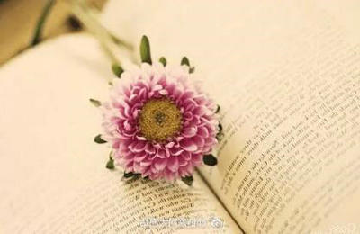 描写动物嘴巴的优美句子（形容小动物嘴巴的词语）(图1)