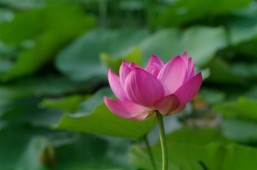 描写夜晚很黑的优美句子（描写夜晚黑暗的优美句子）(图1)