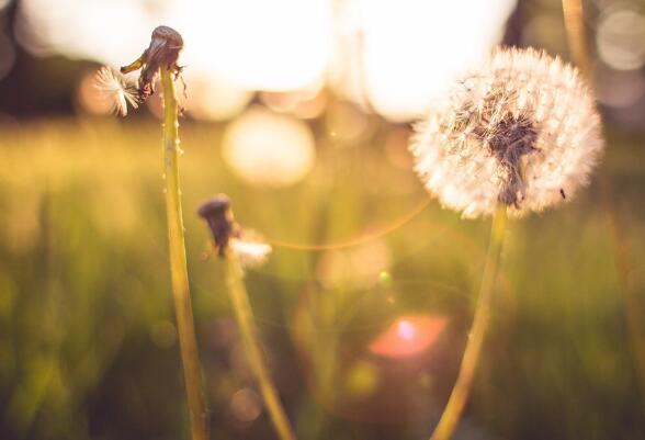 描写广州早晨的唯美句子（形容广州早上的句子）(图1)