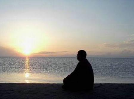 描写松树林的优美句子摘抄（描写松树林的段子100字）(图1)