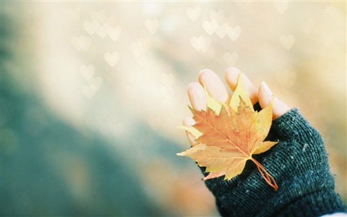 描写池塘荷叶的优美句子(描写池塘里的荷叶的句子)(图1) 描写池塘荷叶的优美句子(描写池塘里的荷叶的句子)(图1)