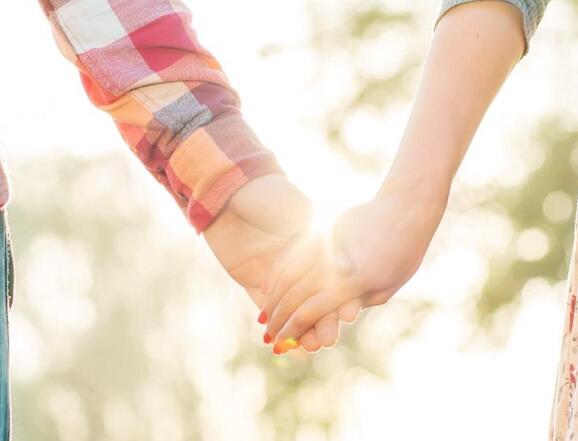 描写菜虫的优美句子(描写虫子吃菜叶的段落)(图1) 描写菜虫的优美句子(描写虫子吃菜叶的段落)(图1)