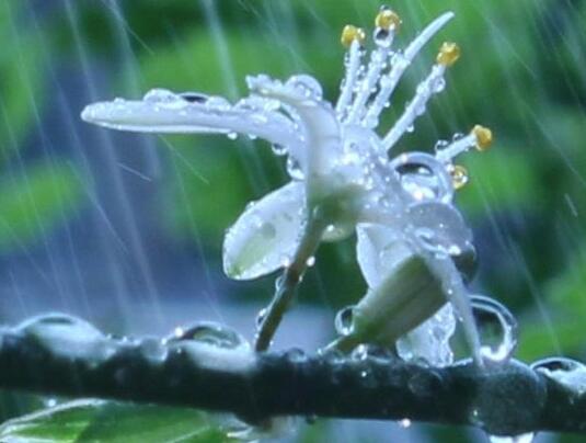 描写秋天的夕阳唯美句子(描写秋天夕阳的句子 短句)(图1) 描写秋天的夕阳唯美句子(描写秋天夕阳的句子 短句)(图1)