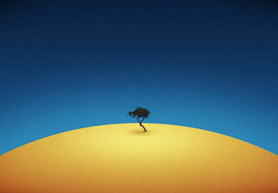 描写郁金花的唯美句子(描写郁金花的段落100字)(图1) 描写郁金花的唯美句子(描写郁金花的段落100字)(图1)