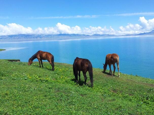 描写自己很冷的短句（形容自己很冷的,幽默）(图1)
