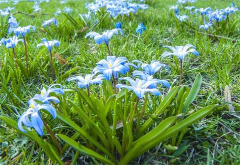 描写父女情的优美句子(描写父女情的优美句子简短英语)(图1) 描写父女情的优美句子(描写父女情的优美句子简短英语)(图1)