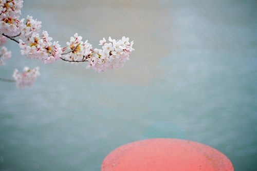 描写秋天晚风的优美句子（描写秋天晚上的风）(图1)