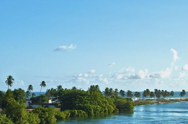 描写秋林的优美句子(描写秋林的优美句子短句摘抄图片)(图1) 描写秋林的优美句子(描写秋林的优美句子短句摘抄图片)(图1)