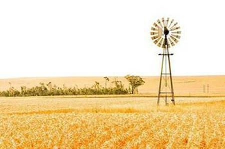 摘抄句子优美文案（摘抄的优美短句）(图1)