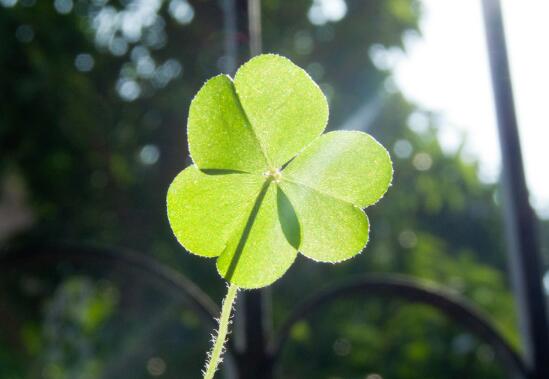 撩人心扉的励志语录(撩人心扉的励志语录短句图片)(图1) 撩人心扉的励志语录(撩人心扉的励志语录短句图片)(图1)