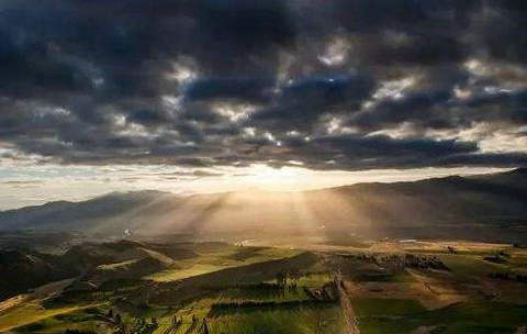 描写蝴蝶采花优美句子（描写蝴蝶采花优美句子摘抄）(图1)