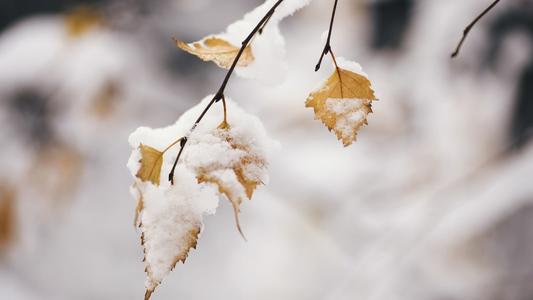收拾烂摊子的唯美句子（收拾烂摊子好听点的说法）(图1)