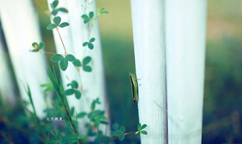 描述舞蹈优美的句子(描写舞蹈的佳句简短)(图1) 描述舞蹈优美的句子(描写舞蹈的佳句简短)(图1)