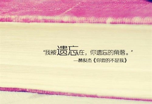 教学能手获奖格言（教学能手有何待遇）(图1)